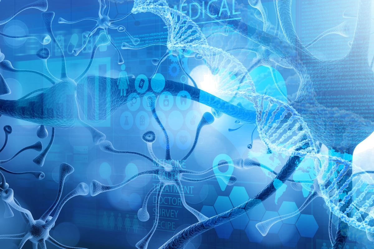 Why Balanced Hormones are Crucial for Good Health