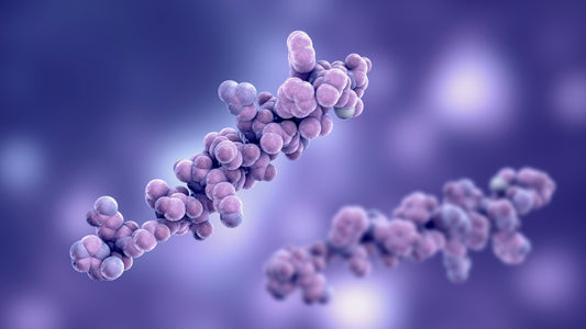 Read about The Role of Hormones in Body Functions and explore insights on health and wellness from Nood Nutrition