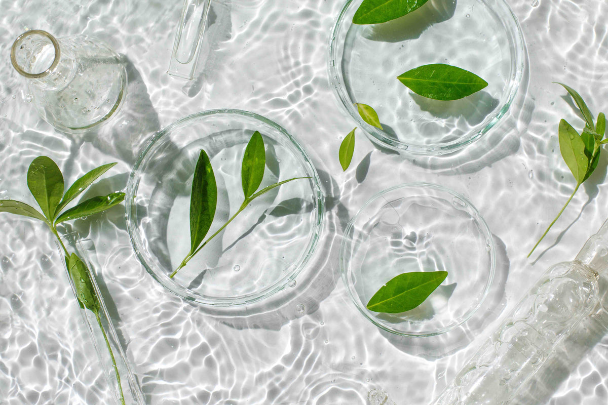 Debunking Myths: Natural vs. Organic Foods