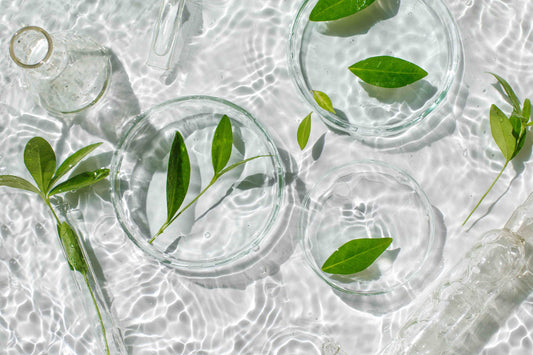 Read about Debunking Myths: Natural vs. Organic Foods and explore insights on health and wellness from Nood Nutrition