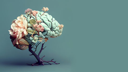 Read about The Connection Between Vitamin B Complex and Hormone Balance and explore insights on health and wellness from Nood Nutrition