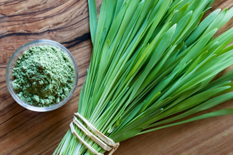 Barley Grass - Super Greens Elixir - Nood Nutrition