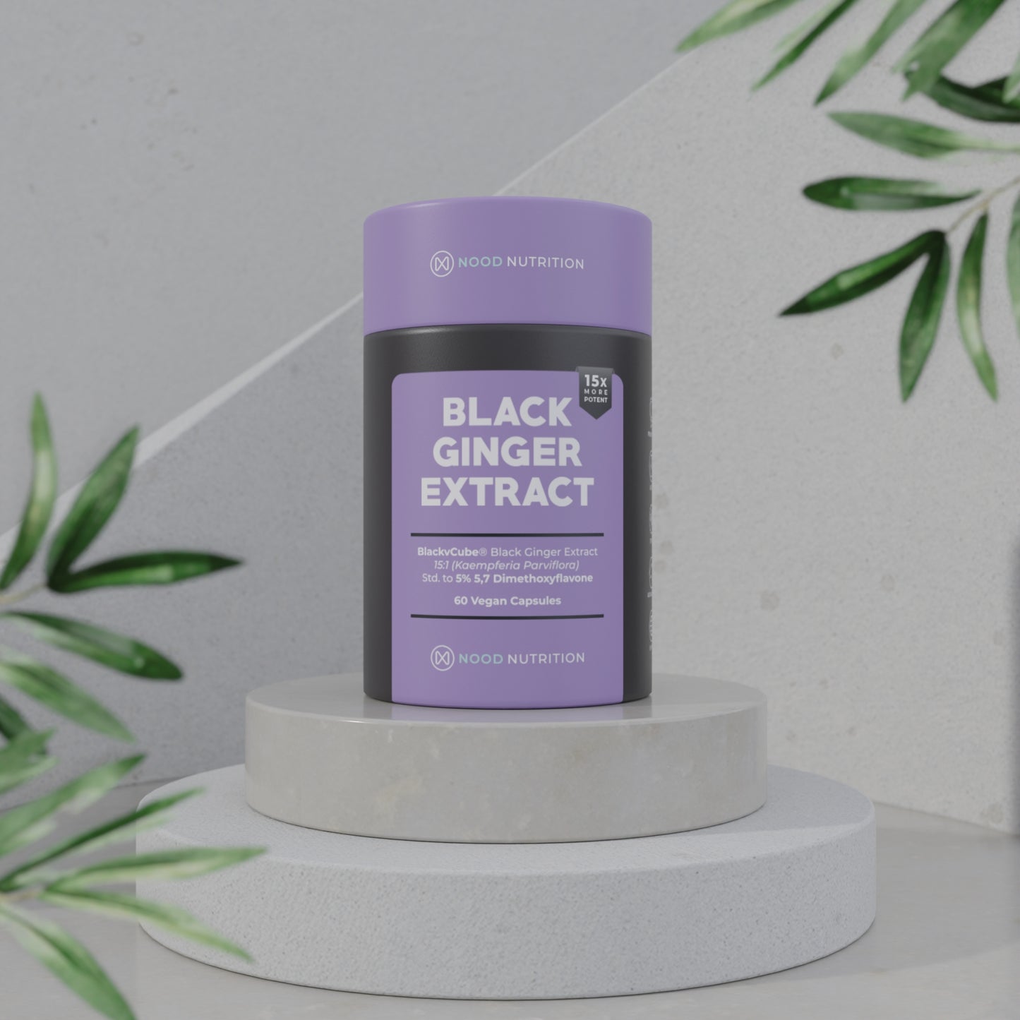 Black Ginger Extract Powder | Nood Nutrition Australia