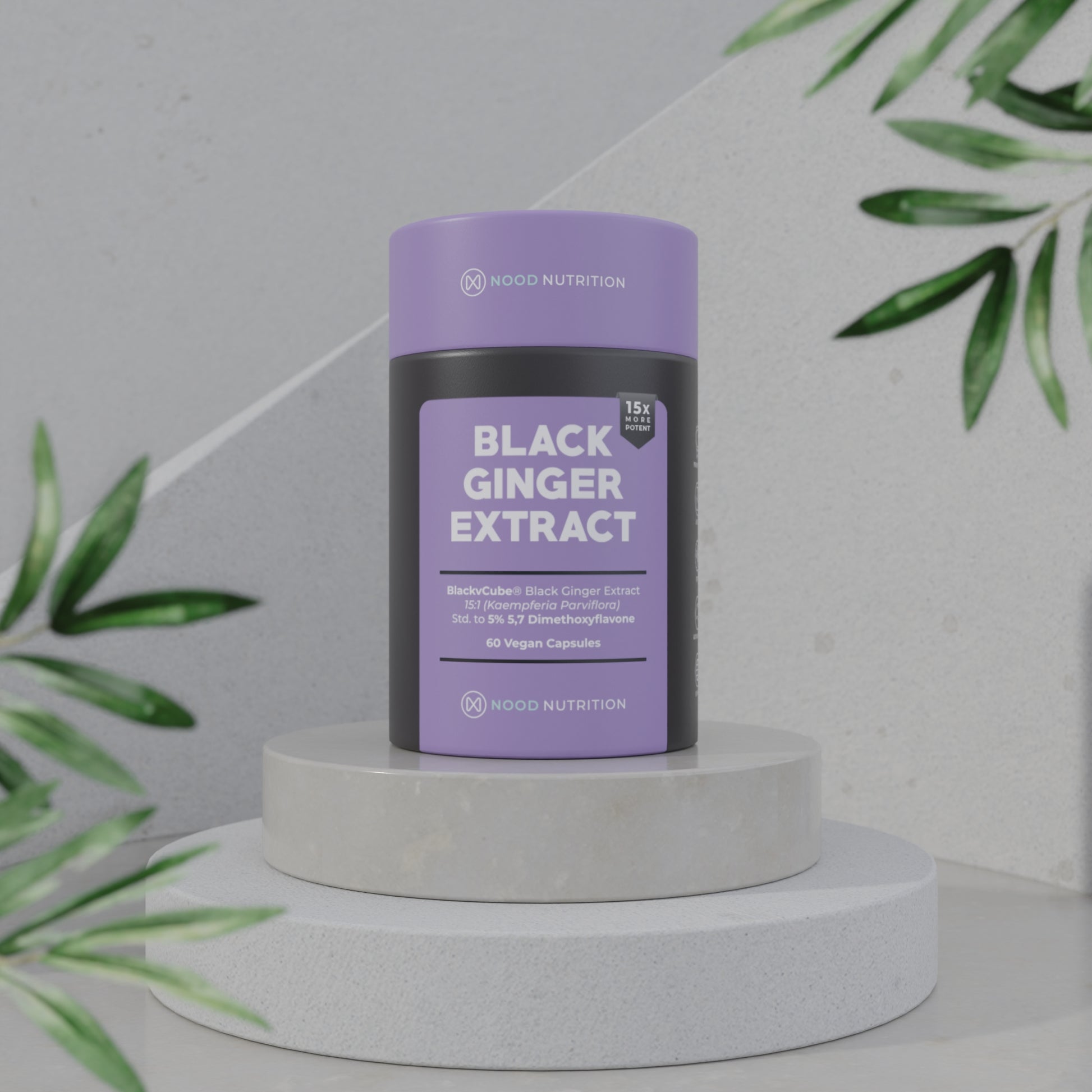 Black Ginger Extract Powder | Nood Nutrition Australia