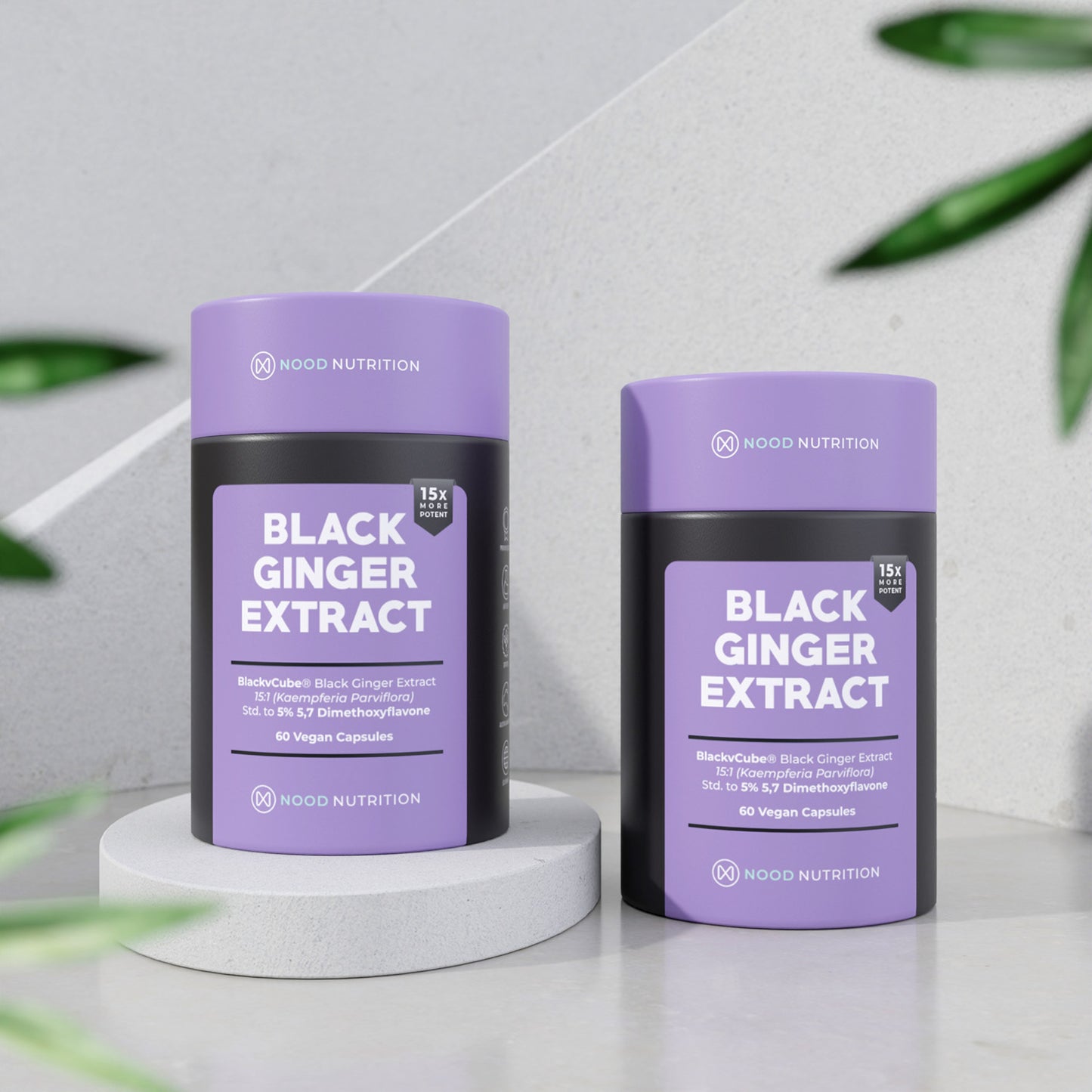 Black Ginger Capsules - Nood Nutrition®