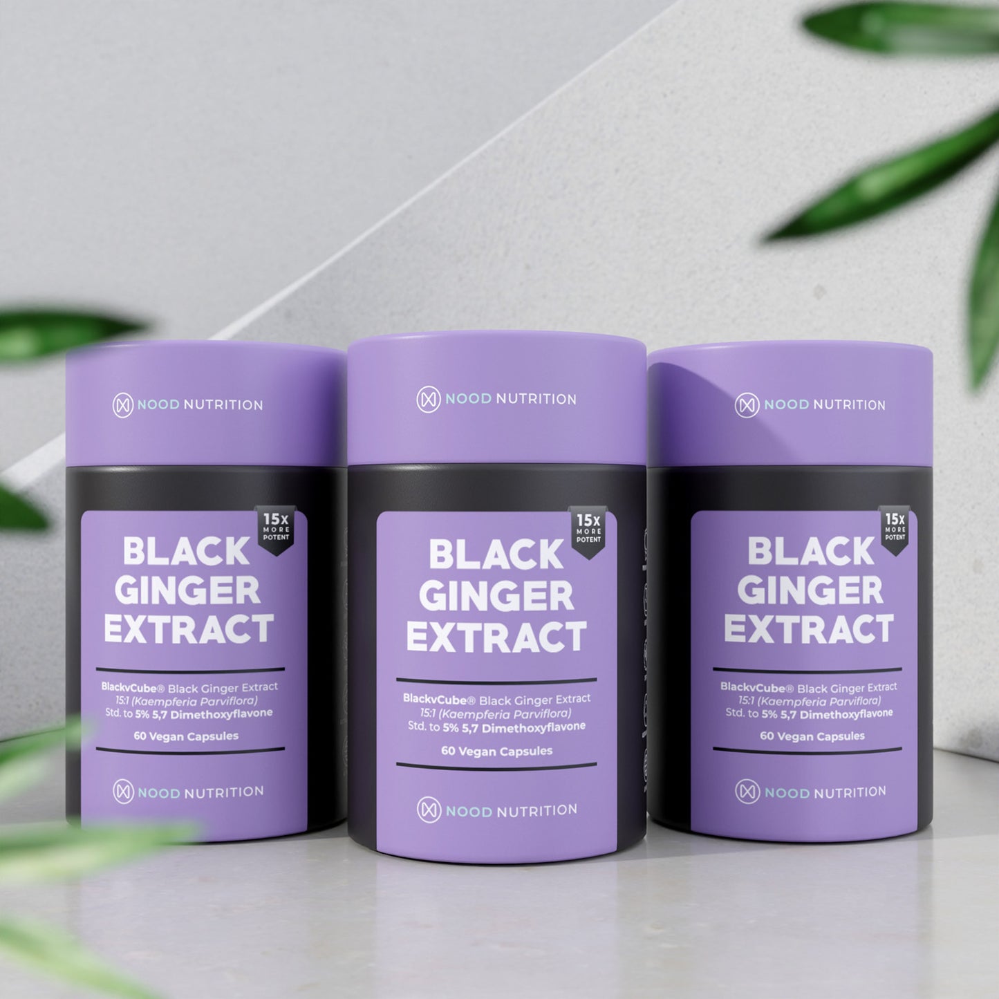 Black Ginger Capsules - Nood Nutrition®