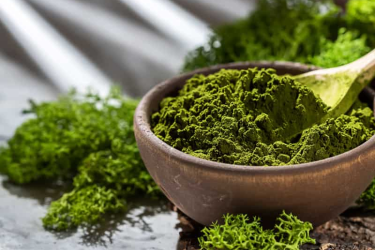 Chlorella - Super Greens Elixir - Nood Nutrition