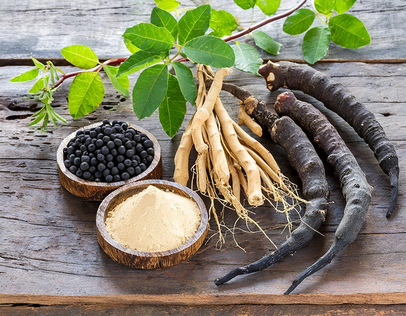 Nood Nutritions Hormone Balance Plus, All Ingredients