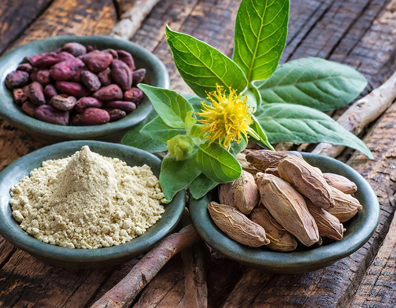 Nood Nutritions Mood Focus Wellbeing, All Ingredients