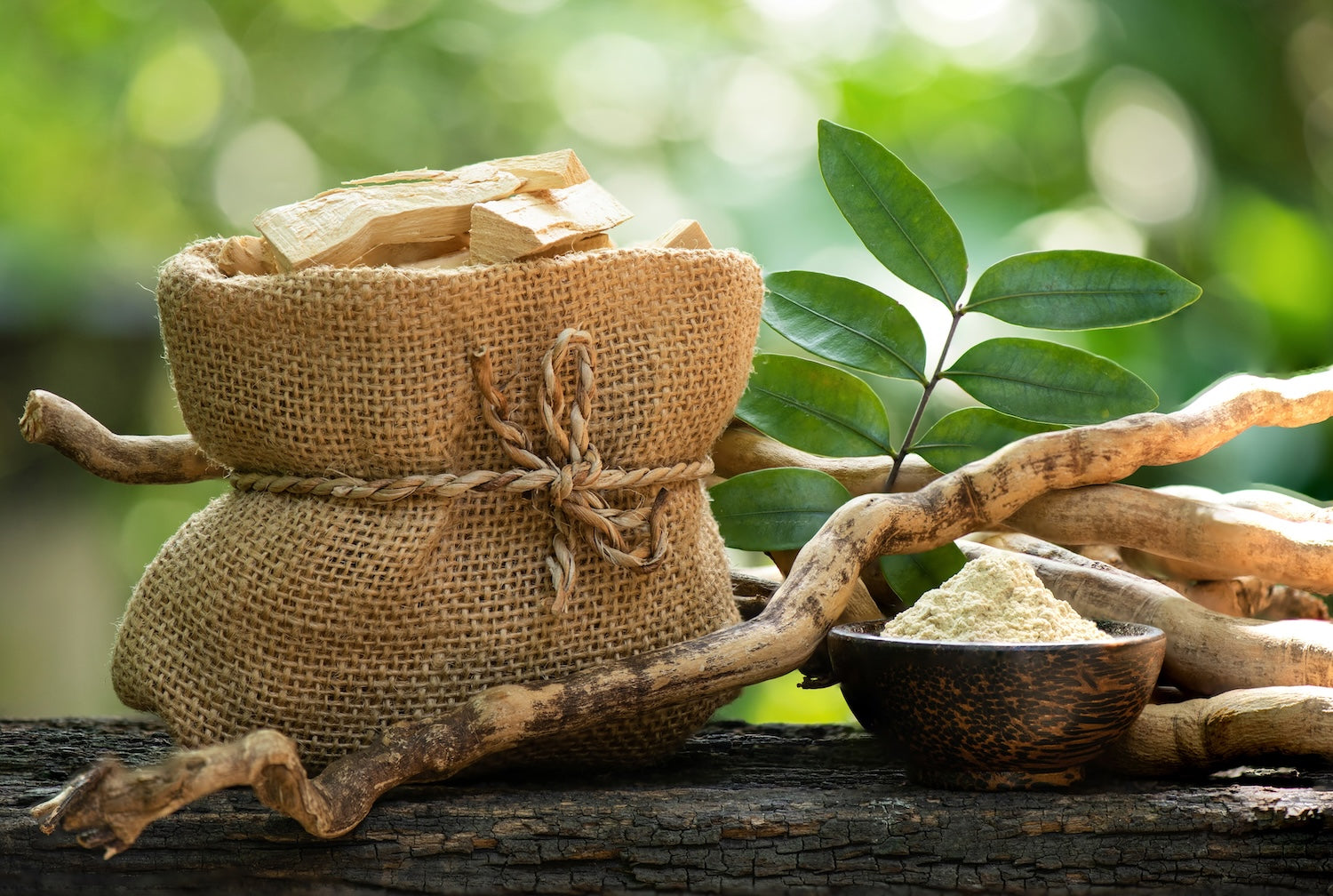 Tongkat Ali Root - Nood Nutrition - on wooden table