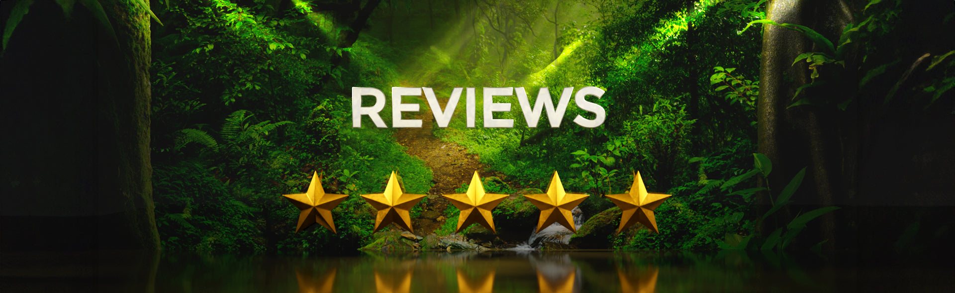 Review Banner with Gold Stars in Jungle background