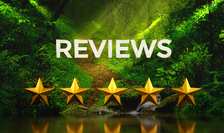 Review Banner with Gold Stars in Jungle background