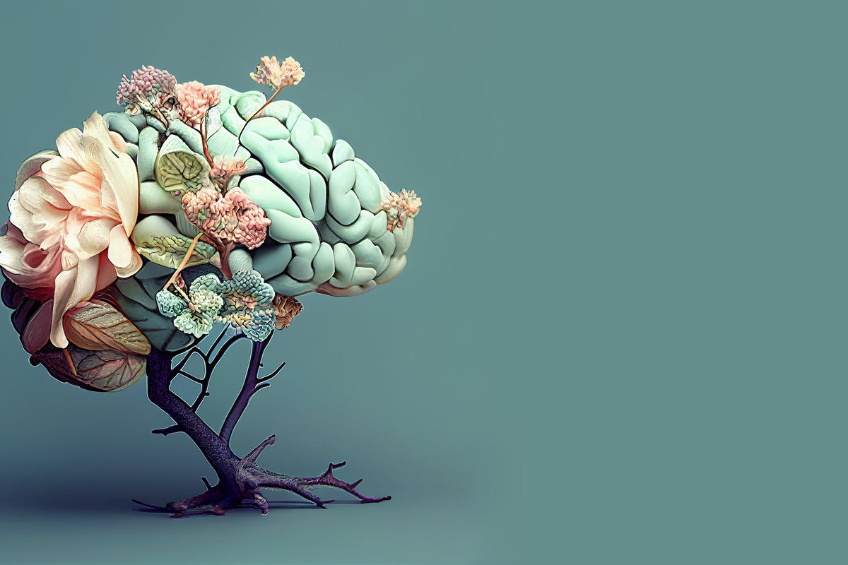 The Connection Between Vitamin B Complex and Hormone Balance
