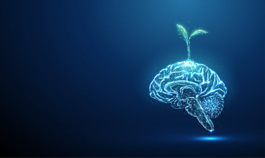 brain with plant extract