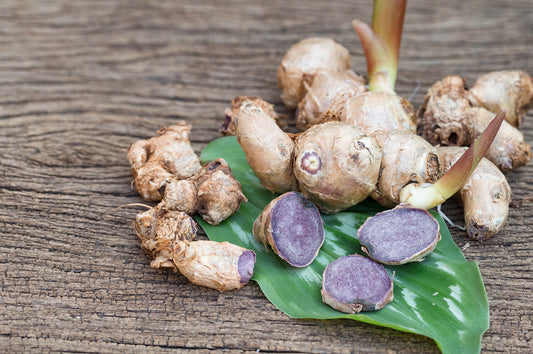 Black Ginger - Benefits, Side Effects, Results explained