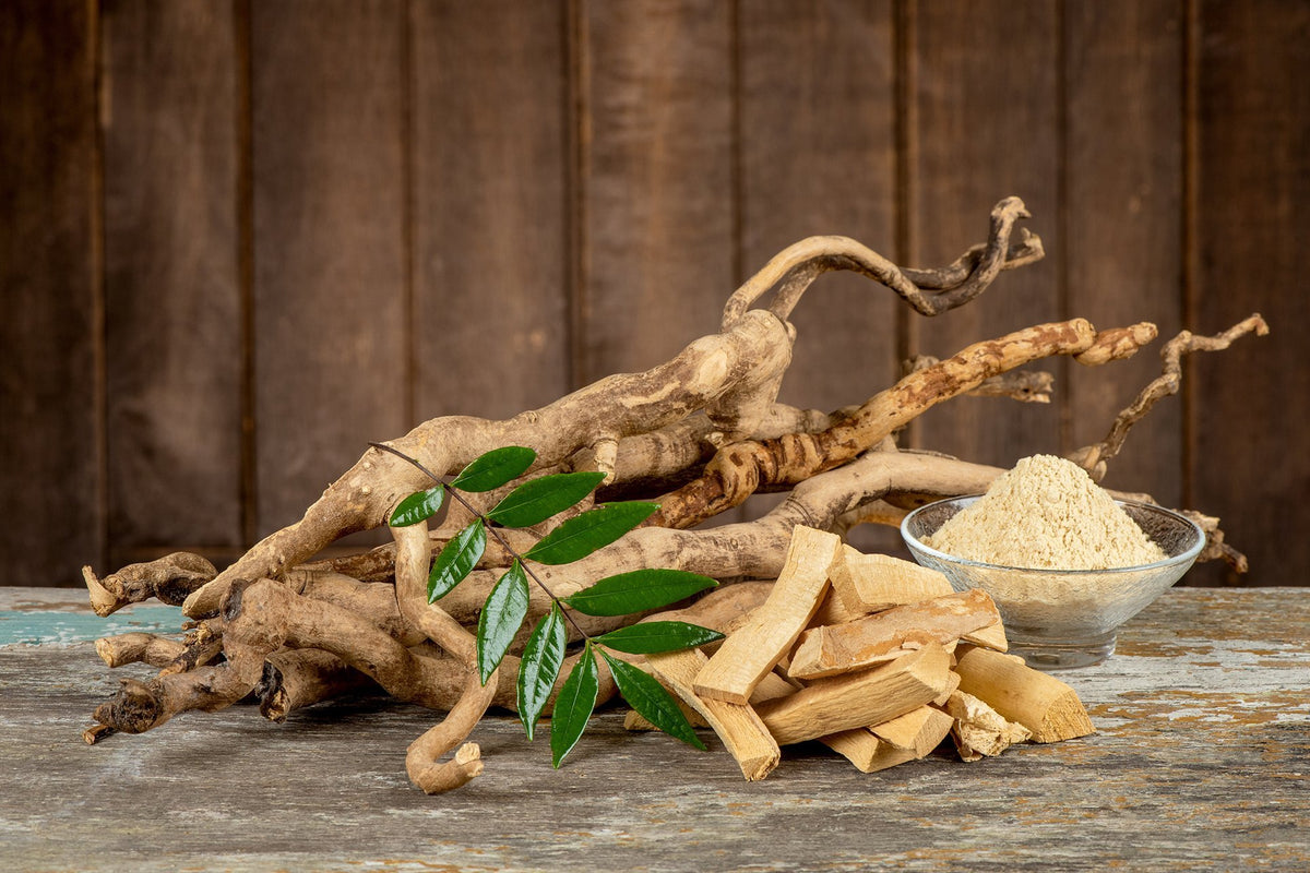 Tongkat Ali - Benefits, Side Effects, Results explained