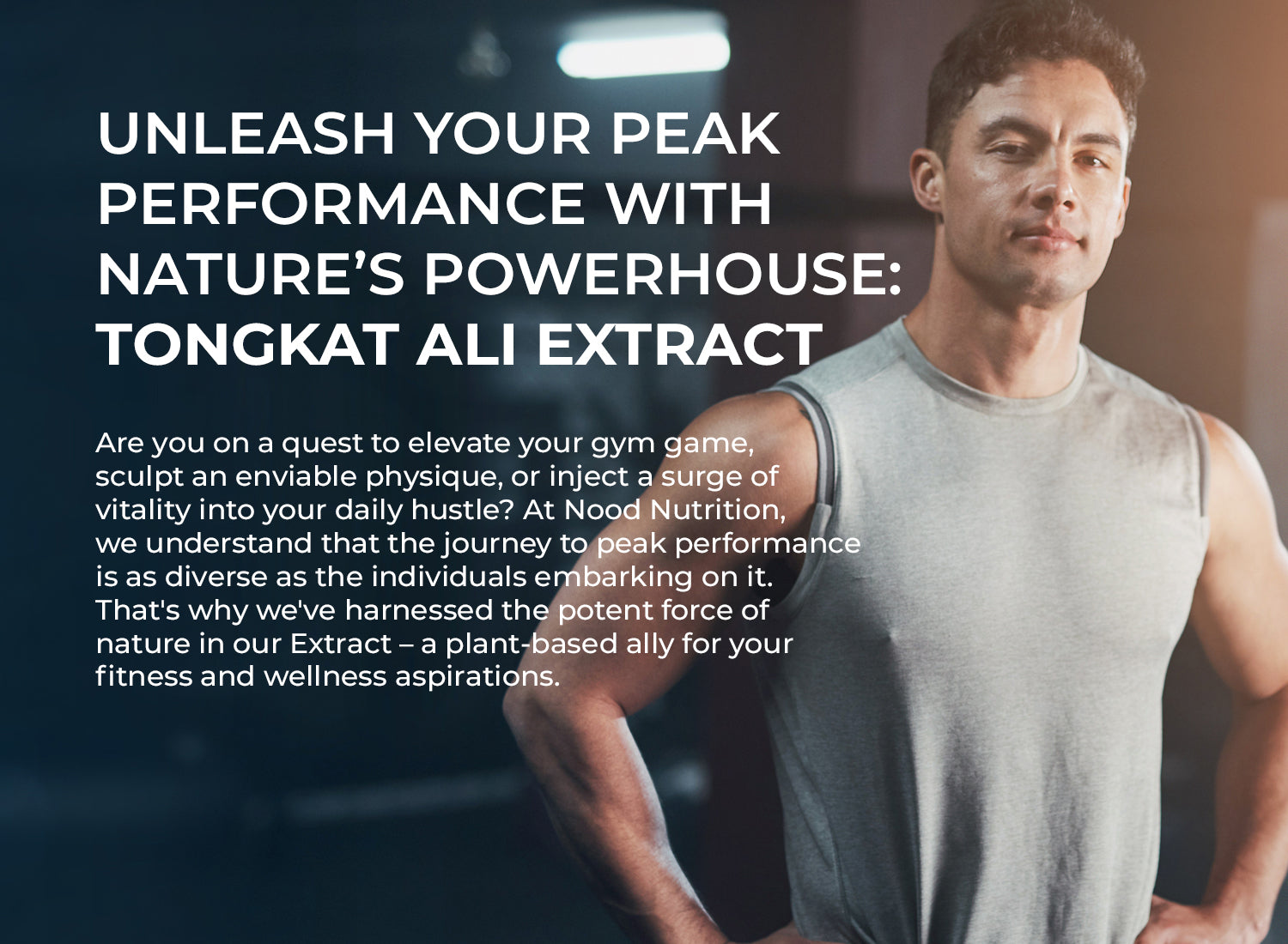 Tngkt Banner Laptop.jpg__PID:e914d4e5-c0ac-42f9-af5a-adc5a602a763